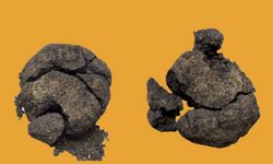 Çatalhöyük’te 8600 yıllık ekmek