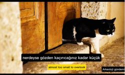 Topkapı Sarayı Karaağalar Koğuşu Kedi Kapısı!