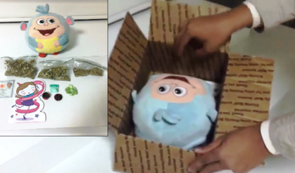 Silivri’de oyuncak ayı içerisinden zehir çıktı