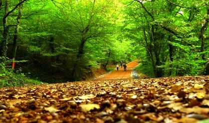 Ataşehir İlçe Tarım ve Orman Müdürlüğü Yol Tarifi