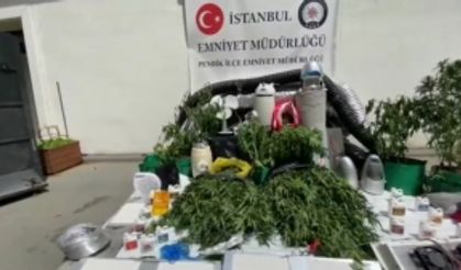 Pendik'te Uyuşturucu Operasyonu