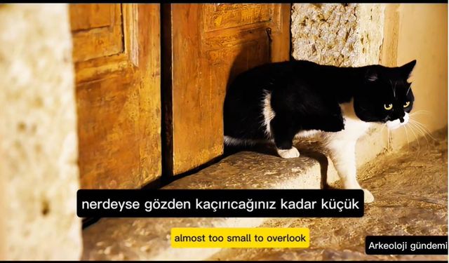 Topkapı Sarayı Karaağalar Koğuşu Kedi Kapısı!