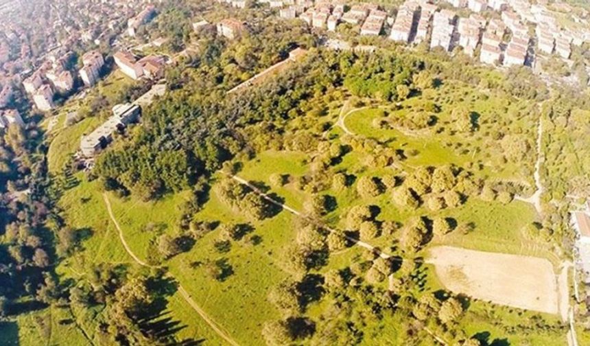 Validebağ Korusu, Üsküdar