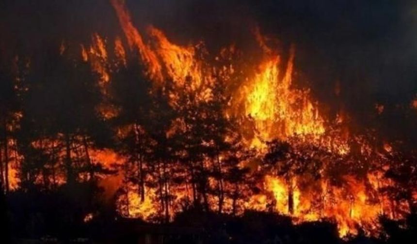İsrail'de Kudüs ile Tel Aviv Arasında Devam Eden Yangınlar Büyüyor