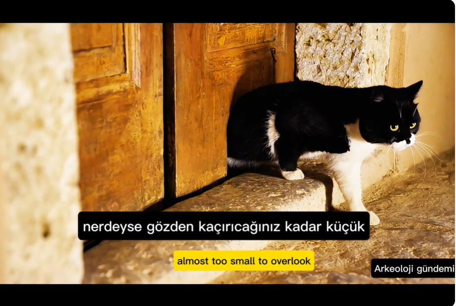 Saray Kedileri İçin Yapılan Kedi Kapısı!